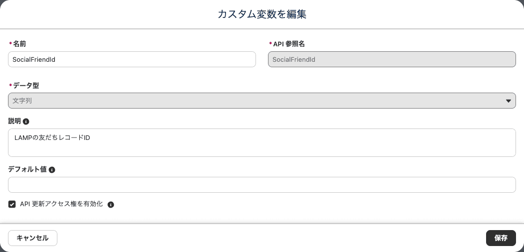 カスタム変数の編集画面。「API 更新アクセス権を有効化」にチェックを入れる(クリックで拡大)