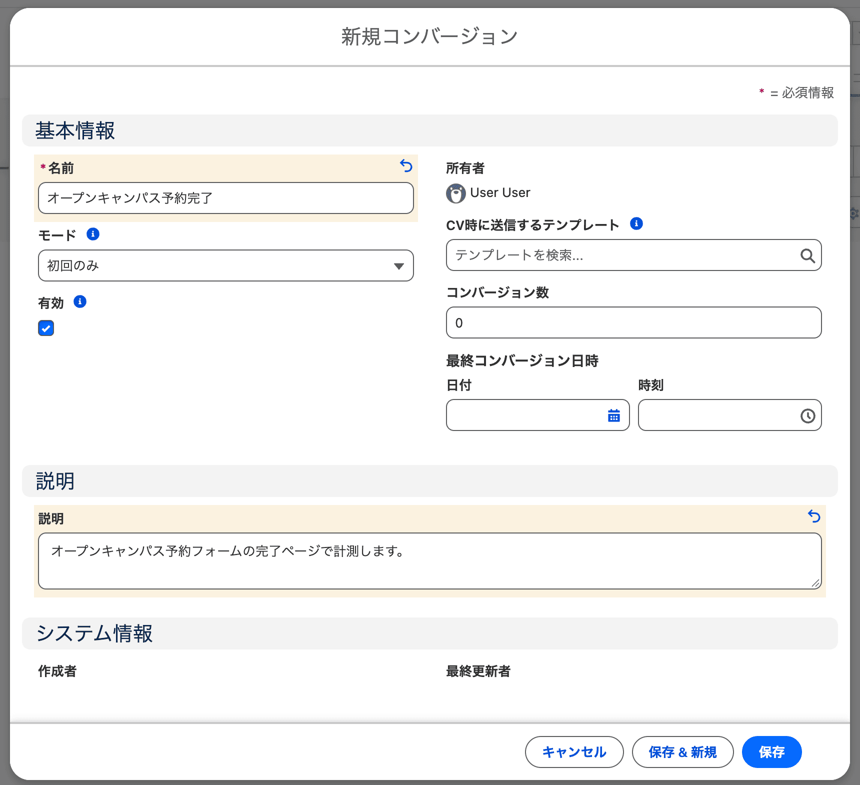 新規コンバージョンの入力画面(クリックで拡大)