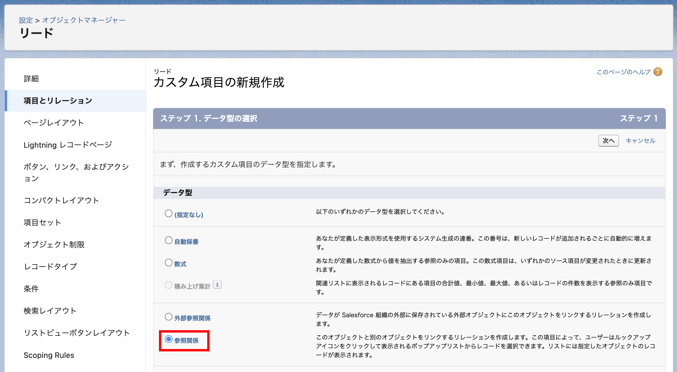 カスタム項目の新規作成画面になりました(クリックで拡大)